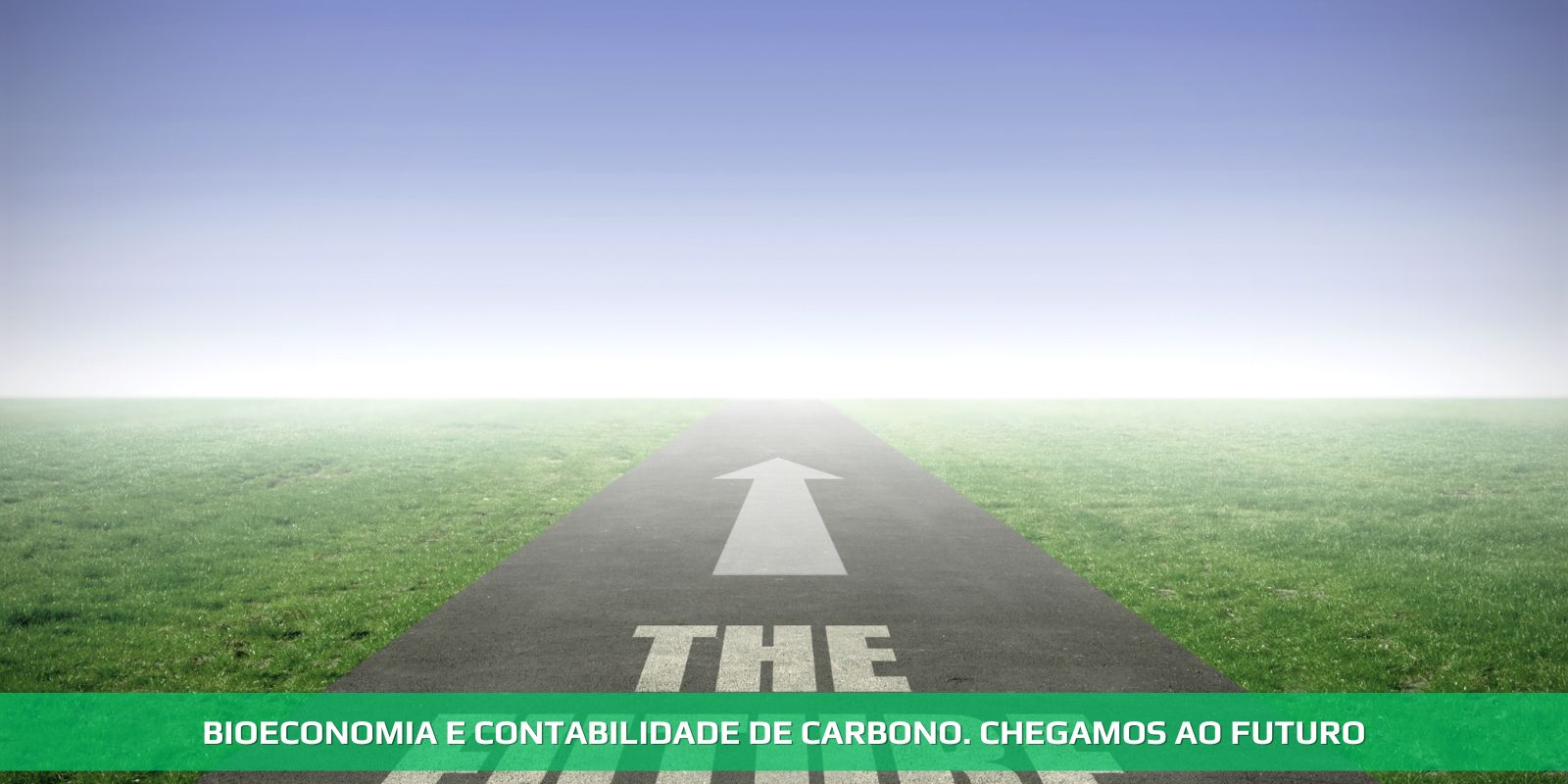 Figura 4 - BIOECONOMIA E CONTABILIDADE DE CARBONO